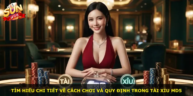 Tìm hiểu chi tiết về cách chơi và quy định trong Tài Xỉu Md5